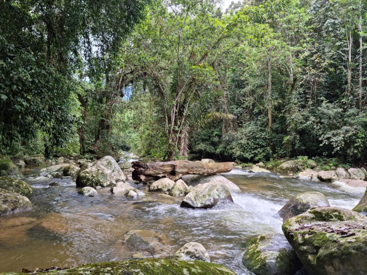 Recanto Da Margo 1, Casa Com Acesso A Cachoeira Парати Екстериор снимка