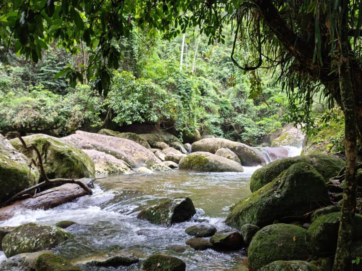 Recanto Da Margo 1, Casa Com Acesso A Cachoeira Парати Екстериор снимка