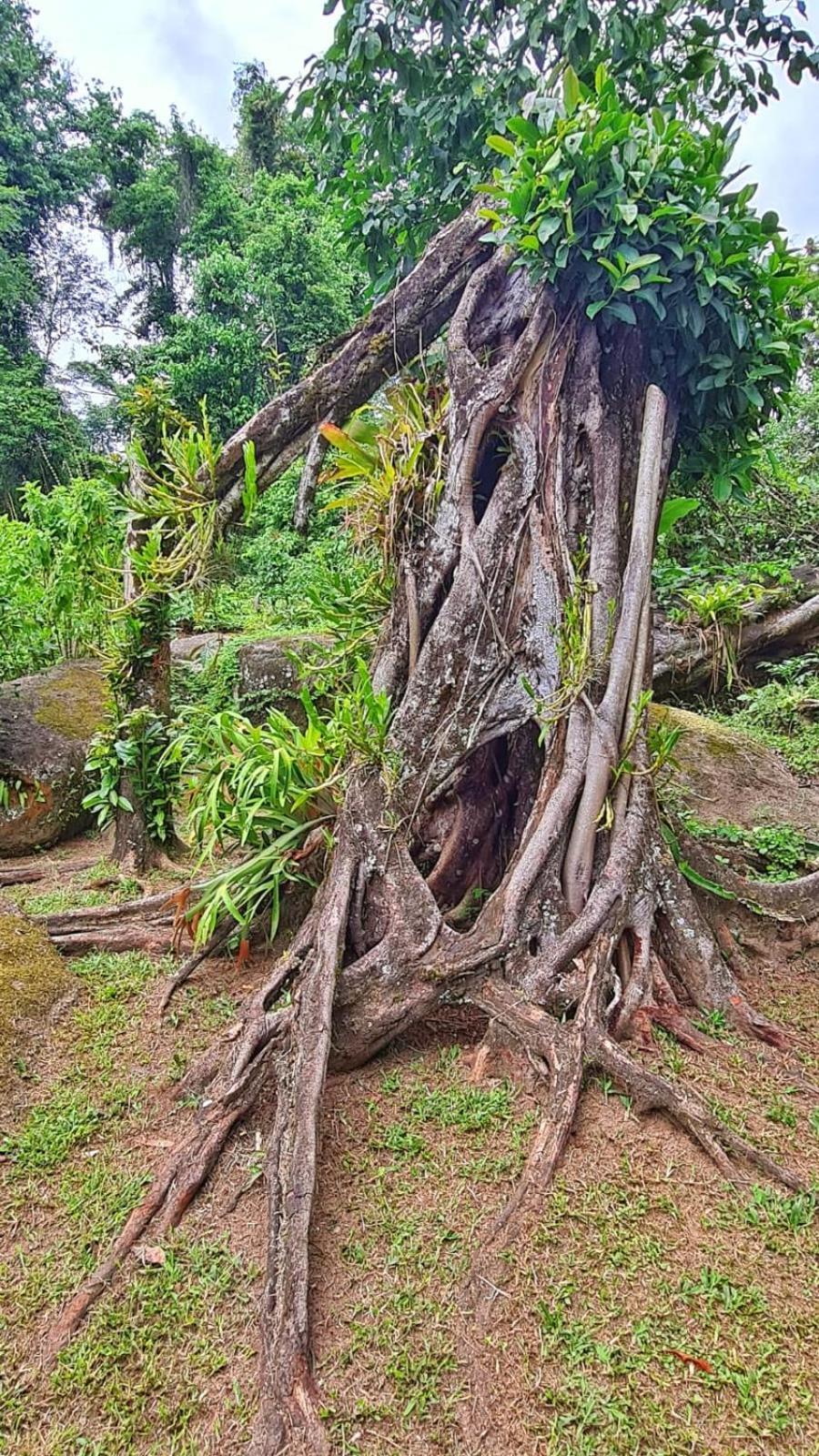 Recanto Da Margo 1, Casa Com Acesso A Cachoeira Парати Екстериор снимка
